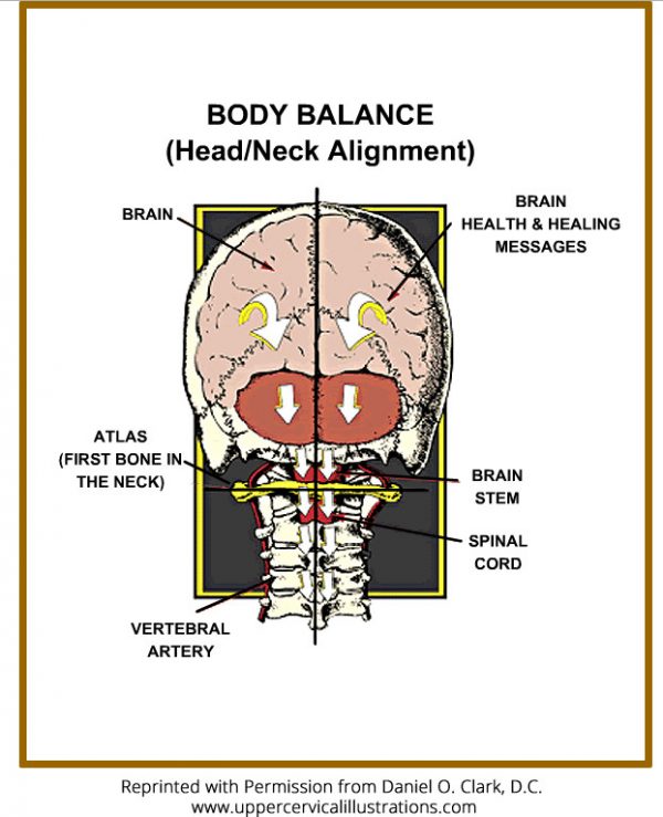 Анатомический матрас spine balance